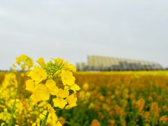 -中国天府农业博览园