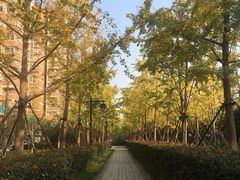 -杭州登云路农贸市场(胜月院店)