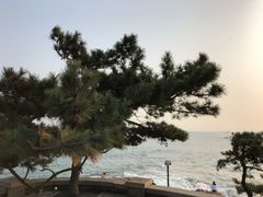 -青岛第二海水浴场