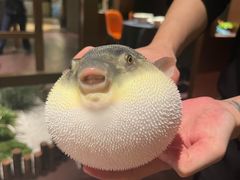 -肆月河豚·淮扬菜·湘菜(华天店)