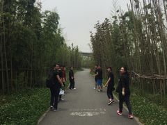 -白鹭湾湿地公园