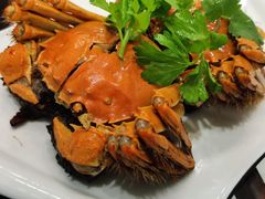 -呼吸森林·生态农庄农家乐私房菜