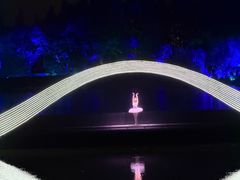 -印象西湖·最忆是杭州实景演出