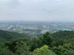 -杭州半山国家森林公园