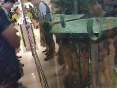 -一代烤翅王(大汉口店)
