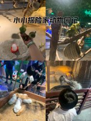 -酷嗒动物文化乐园(cutezoo西溪乐天城店)