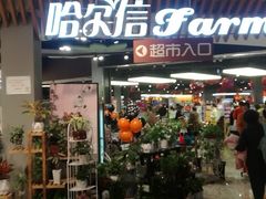 -哈尔信食品超市(哈尔滨王府井购物中心店)