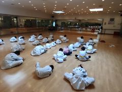 -金翼跆拳道巴西柔术拳击格斗学院