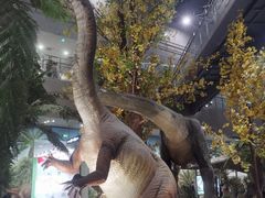 -湖南省地质博物馆