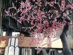 -大渔·观筵(三里屯太古里店)