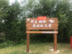 -北极村旅游风景区