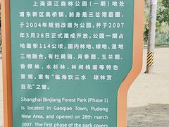 -上海滨江森林公园