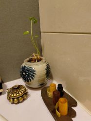 -觅境SPA·私享空间