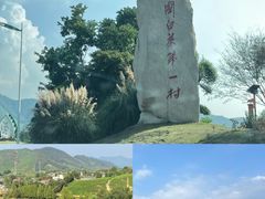 -阿露佳·舌尖上的安吉菜