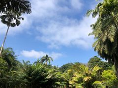 -中国科学院西双版纳热带植物园