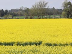 -中国天府农业博览园