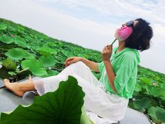 -白洋淀景区