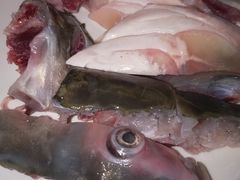 -正能量脆肉鲩火锅