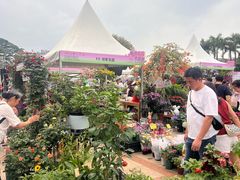 -顺峰山公园