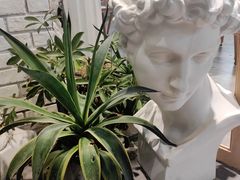 -风甜日暖·星座主题甜点(东二环泰禾店)