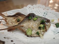-洲晓鲜·舟山海鲜大排档(朱家尖风景区店)