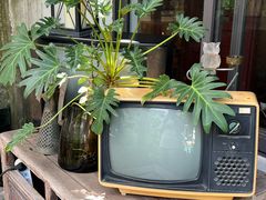 -水岸居湖景农家乐·阳澄湖大闸蟹