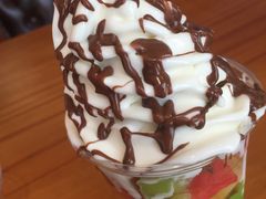 -Salud撒露欧洲冻酸奶(北苑上品店)