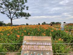 -汉长安城未央宫国家考古遗址公园