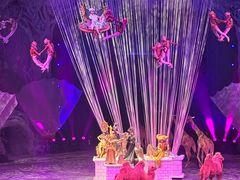 -广州长隆国际大马戏