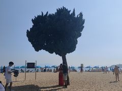 -青岛第一海水浴场
