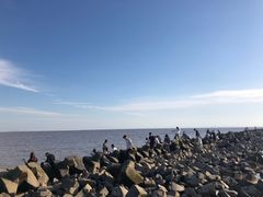 -南汇嘴观海公园