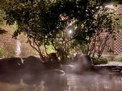 -张家港金凤凰度假村温泉