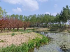 -东郊湿地公园
