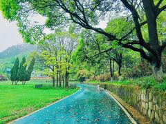 -贵州省植物园