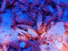 -盛江山自助料理(奥莱锦辉购物广场店)