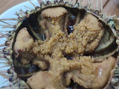 -海胆小馆(东北水饺·春柳店)