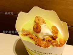 酸奶葡萄燕麦麦旋风-麦当劳(友谊路得来速店)