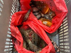 -外滩18号海鲜(三亚湾龙兴海鲜广场店)