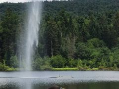 -五营红松林海景区