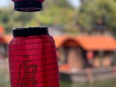 -侨美·唐荔园·40年地道粤菜