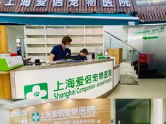 -爱侣宠医·鹦鹉专科·小型哺乳类·异宠专科(灵石路店)