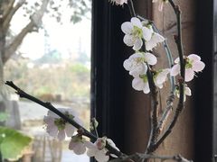-悦哉·派对·草坪婚礼·围炉煮茶(三圣乡店)