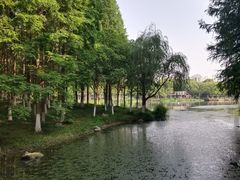 -新洲生态园
