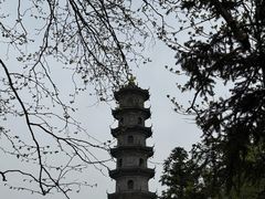 -冶父山国家森林公园