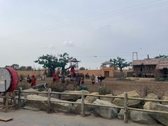 -中国马镇舞马世界主题乐园