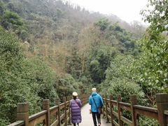 -凤栖山