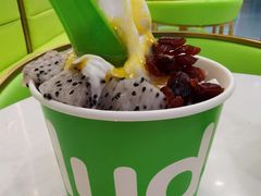 -Salud撒露欧洲冻酸奶(五道口购物中心店)