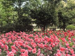 -熙春园餐厅