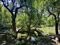 -绮园景区
