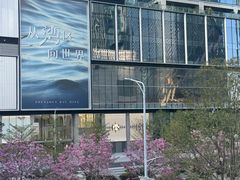 -深圳湾万象城(南山店)